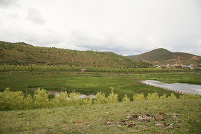 ɽ���µĻ�������