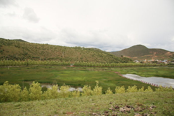 ɽ���µĻ�������