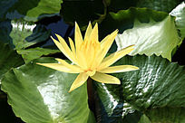 ʢ����ϸ��������