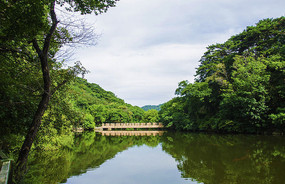 ʯ�����������