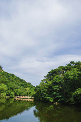 ʯ�����������