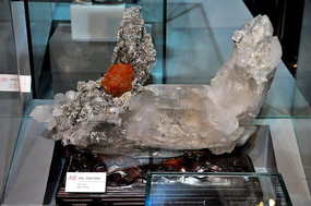 ʯӢ���ٿ�����ĸ