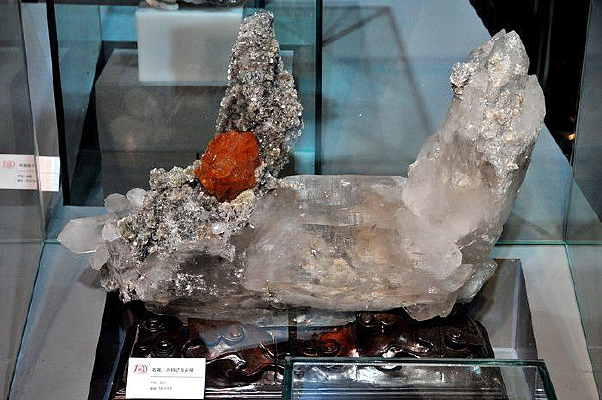 ʯӢ���ٿ�����ĸ