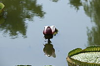 ˮ��������