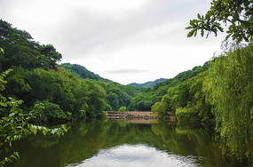 ��ľɽ�����������