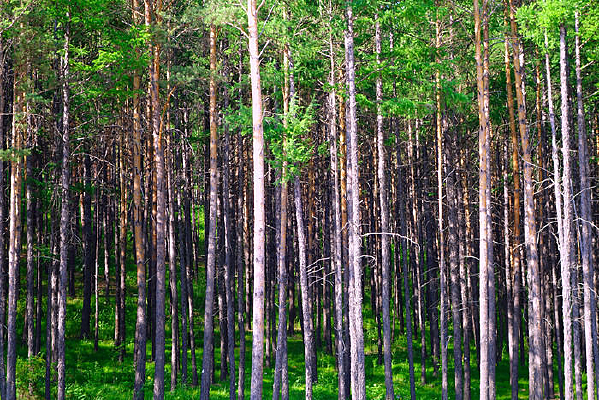 ���־���