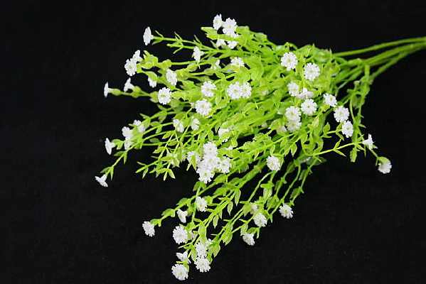 ���ϻ���