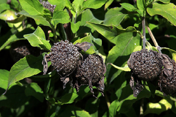 ���˾�����