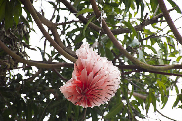 �ݼ��ϱ������ĺ����