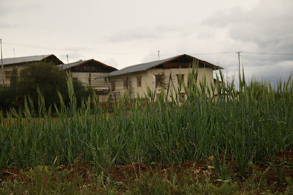 ����ǰ���С����