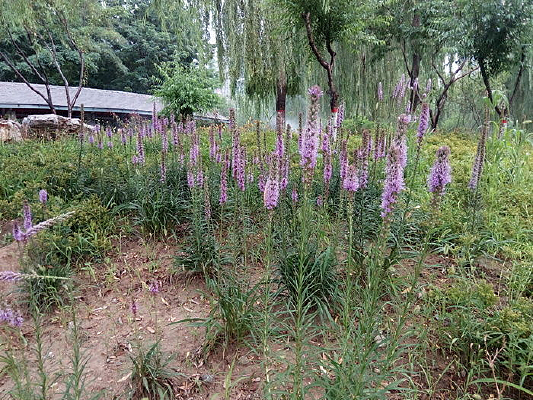 С��ǰ���ϻ���