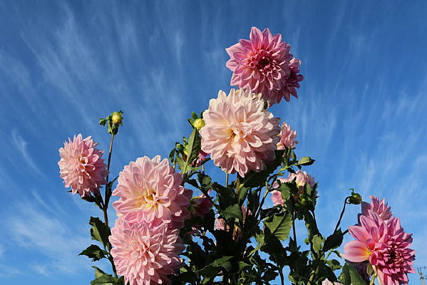 �����µĴ��