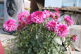 һ�ش�����