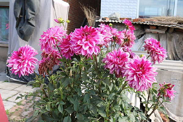 һ�ش�����