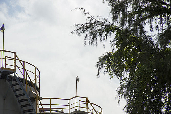 ֲ����������͹�