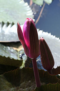 �Ϻ�İ뿪��������