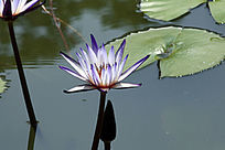 �ϼ�����