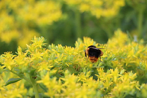 ���۵��۷�