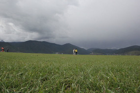 ��ԭ�ݵز�ƺ