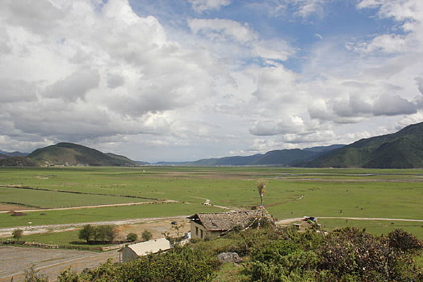 ��ԭʫ��Զ��