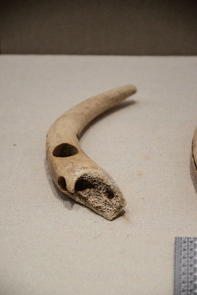 ����ս������