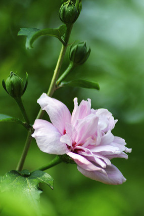 ��ɣ���ͻ���