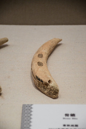 ��ԭ����ս������