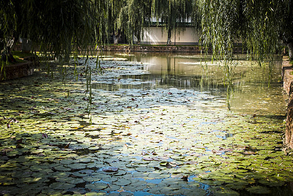 �����봹��