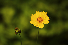 ���ľպͻ���