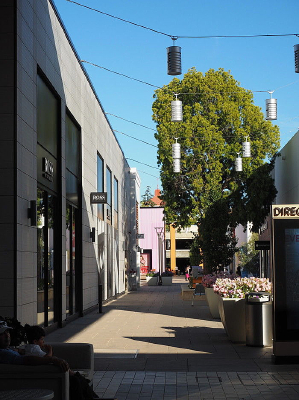 ���������񲽵�