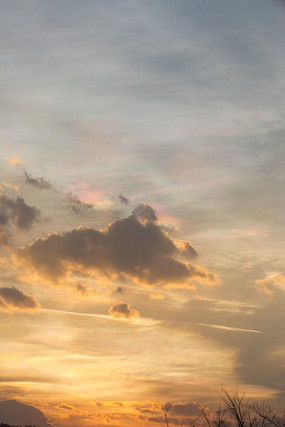 ��Ӳӵ�Ϧ��