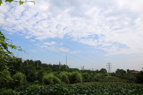 �����ƶ���Ұ