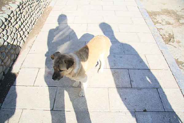 ���˵�С��