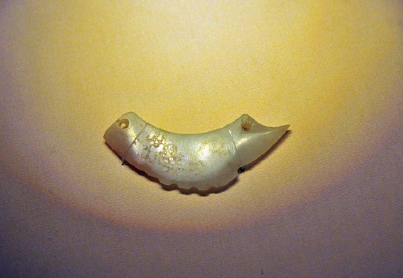 ��ɽ�Ļ�����