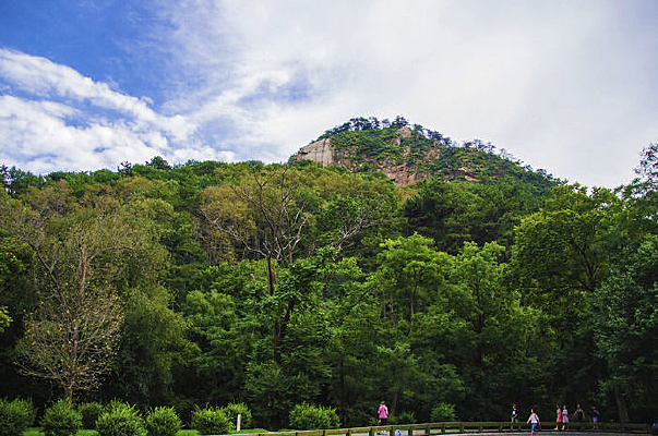 ǧɽ��������ľɽ�������