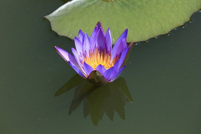 ǳ�ϰ뿪����