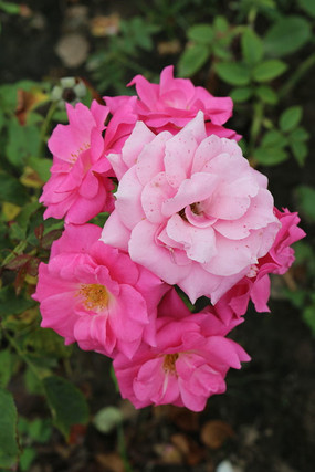 �߶��¼���