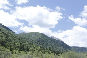 ɽ������