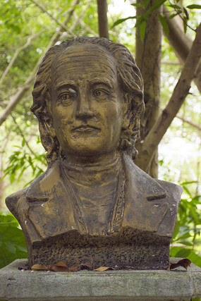 ɯʿ���ǰ�������