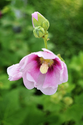 ������ͻ���