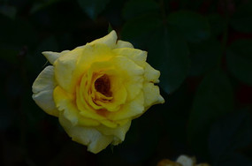 �ʻ����ܻ�ɫ�¼���ͼƬ