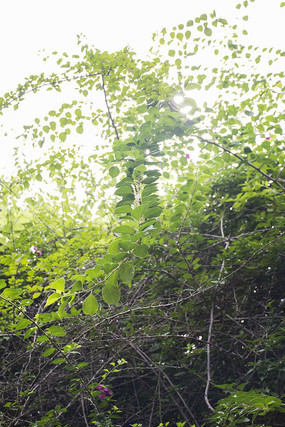 ������Ψ���Ķž�����