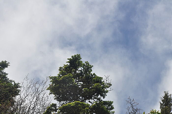 �������������