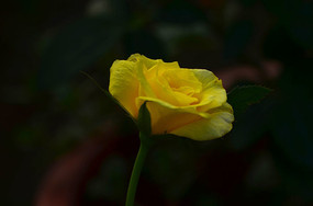 һ������Ļ�ɫ�¼�������ͨ