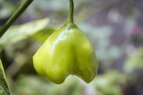 һ�����̵��ཷ