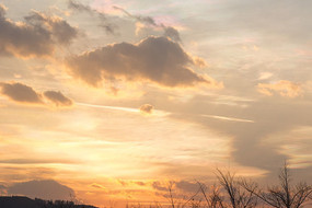 һƬ��ɫ��Ϧ��