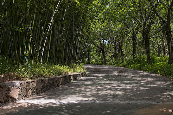 �����������·