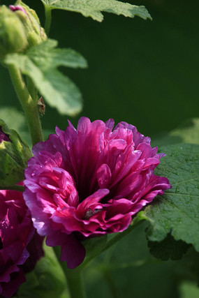 �뿪���������