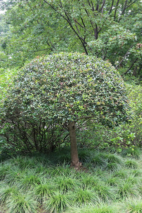 �����ε�������