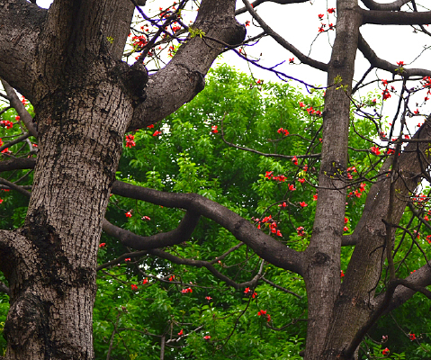 ����ľ�޻����羰ͼƬ